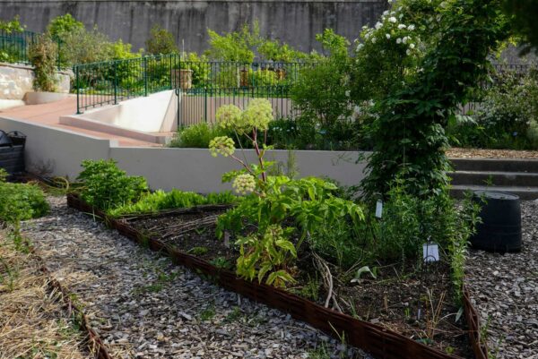 terrasses-du-bosquet