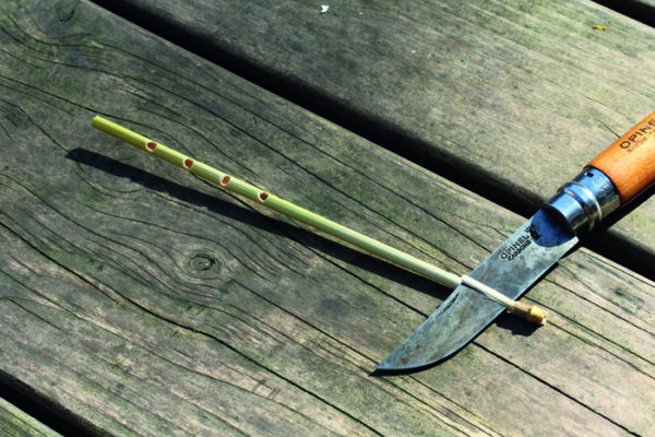 instruments-musique-plantes