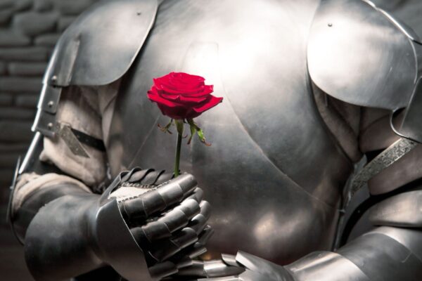 fin-amor-et-cortesia