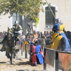 Les cavaliers du Pont du Gard